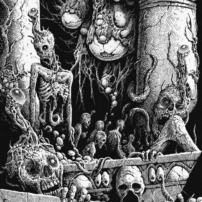 Terror Corpse Ash Eclipses Flesh CD