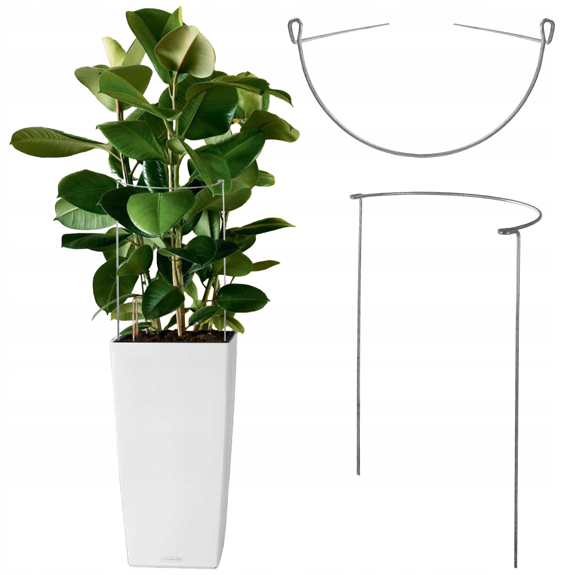 PODPORA DO ROŚLIN KWIATÓW PODPÓRKA 75cm OBEJMA OBRĘCZ METALOWA RÓŻ WSPORNIK