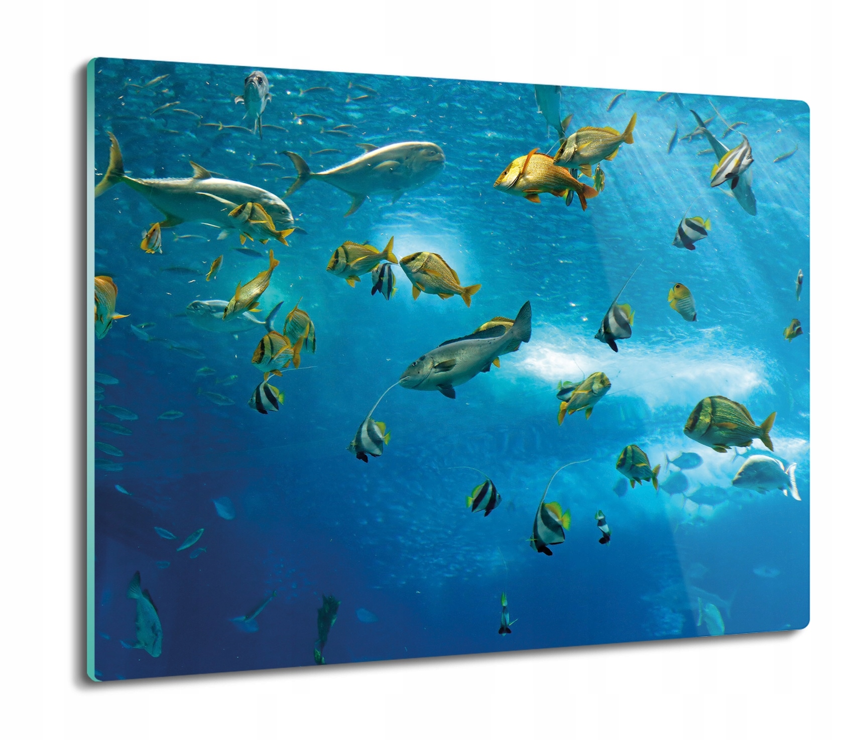 

Ryby ocean morze 60x52 deska na blat kuchenny