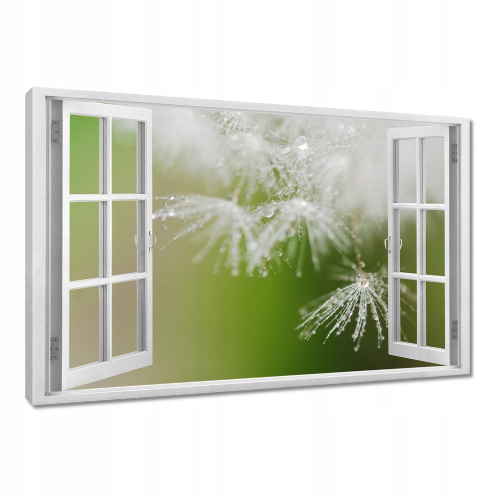 

Obrazy 120x80 Dmuchawiec Kwiat Kwiatki