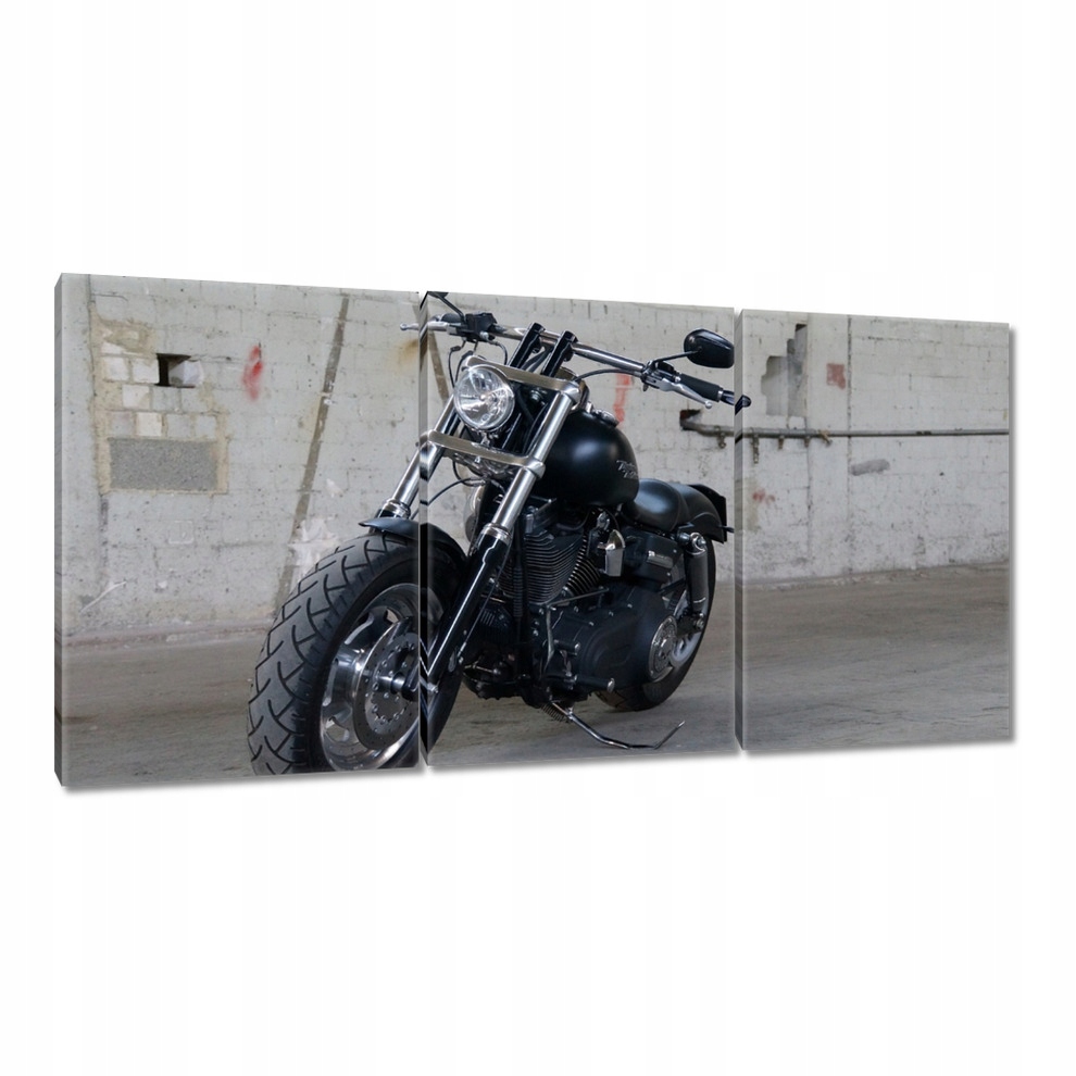 

Obrazy 120x60 Harley Davidson