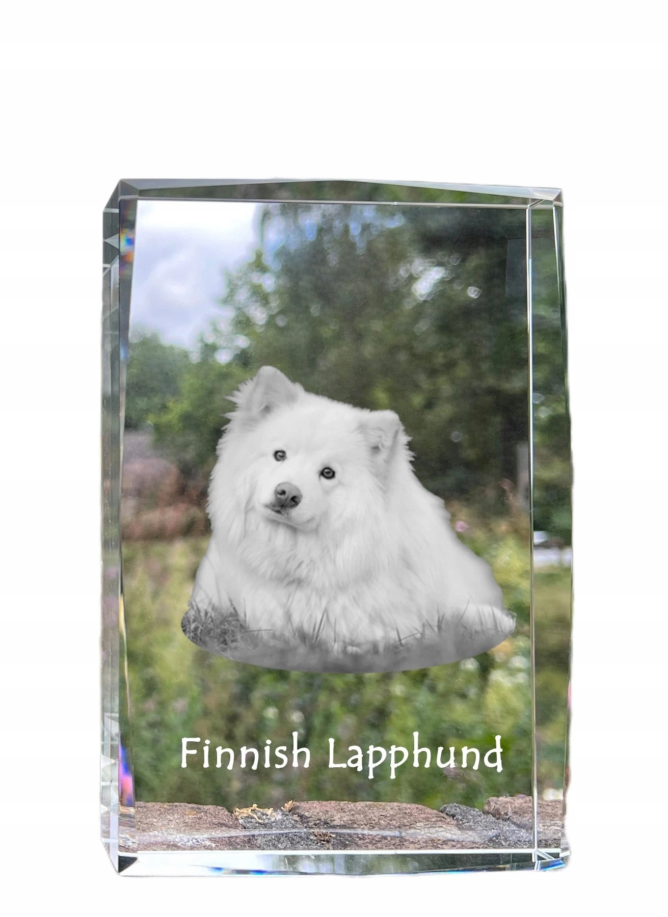 Fínsky lapphund fotografia psa v kryštáli, suvenír, trofej, poďakovanie