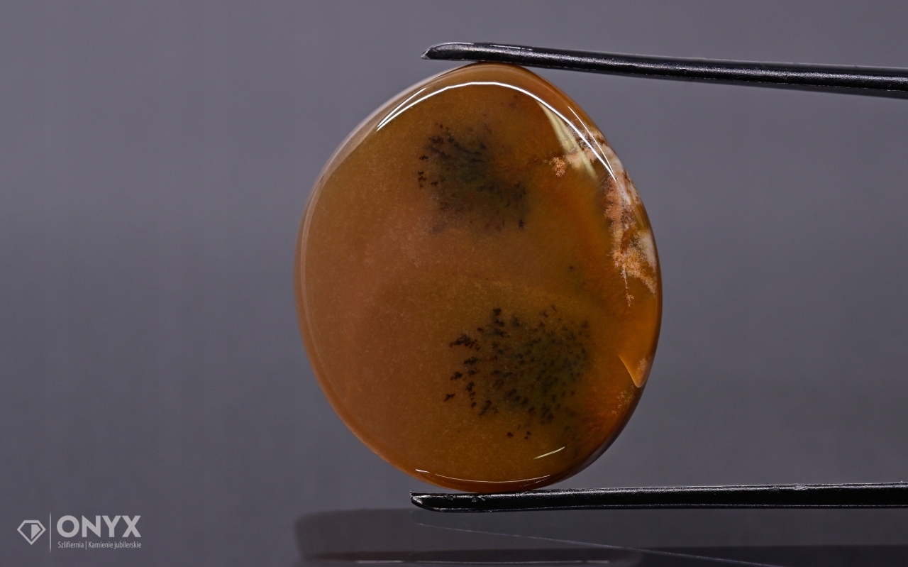 Dendritový achát z Kazachstánu nepravidelná destička