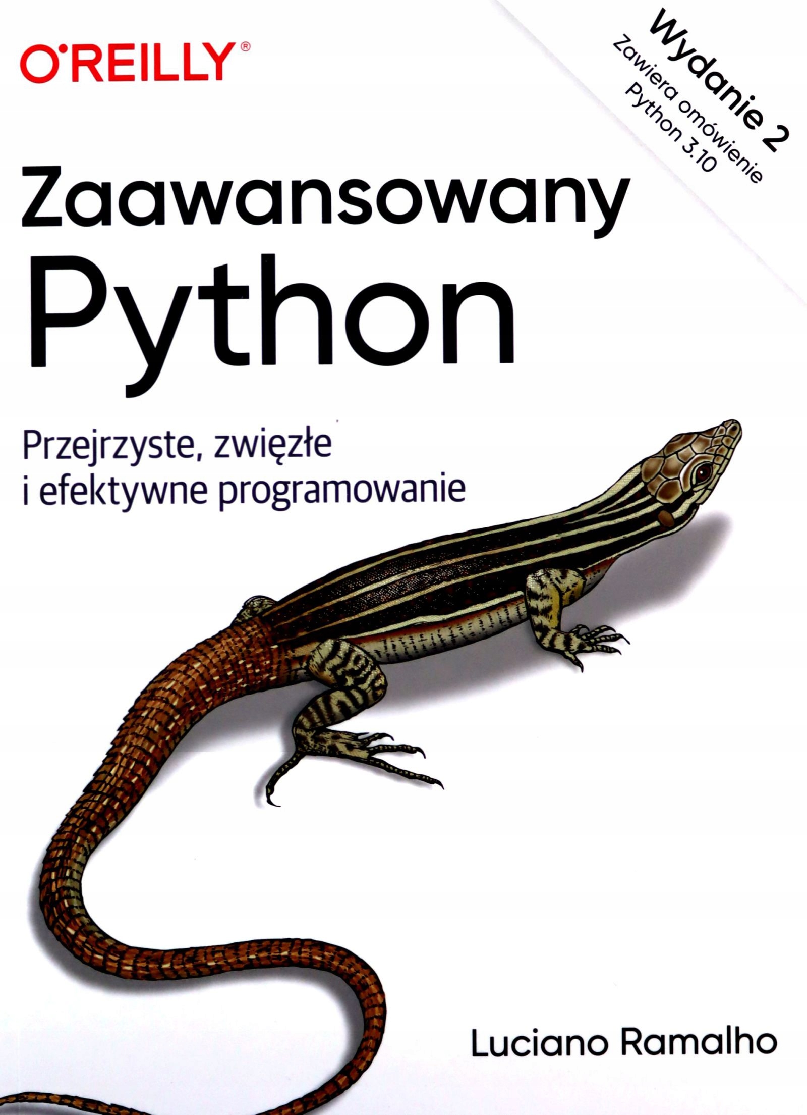 ZAAWANSOWANY PYTHON - Luciano Ramalho (KSIĄŻKA)