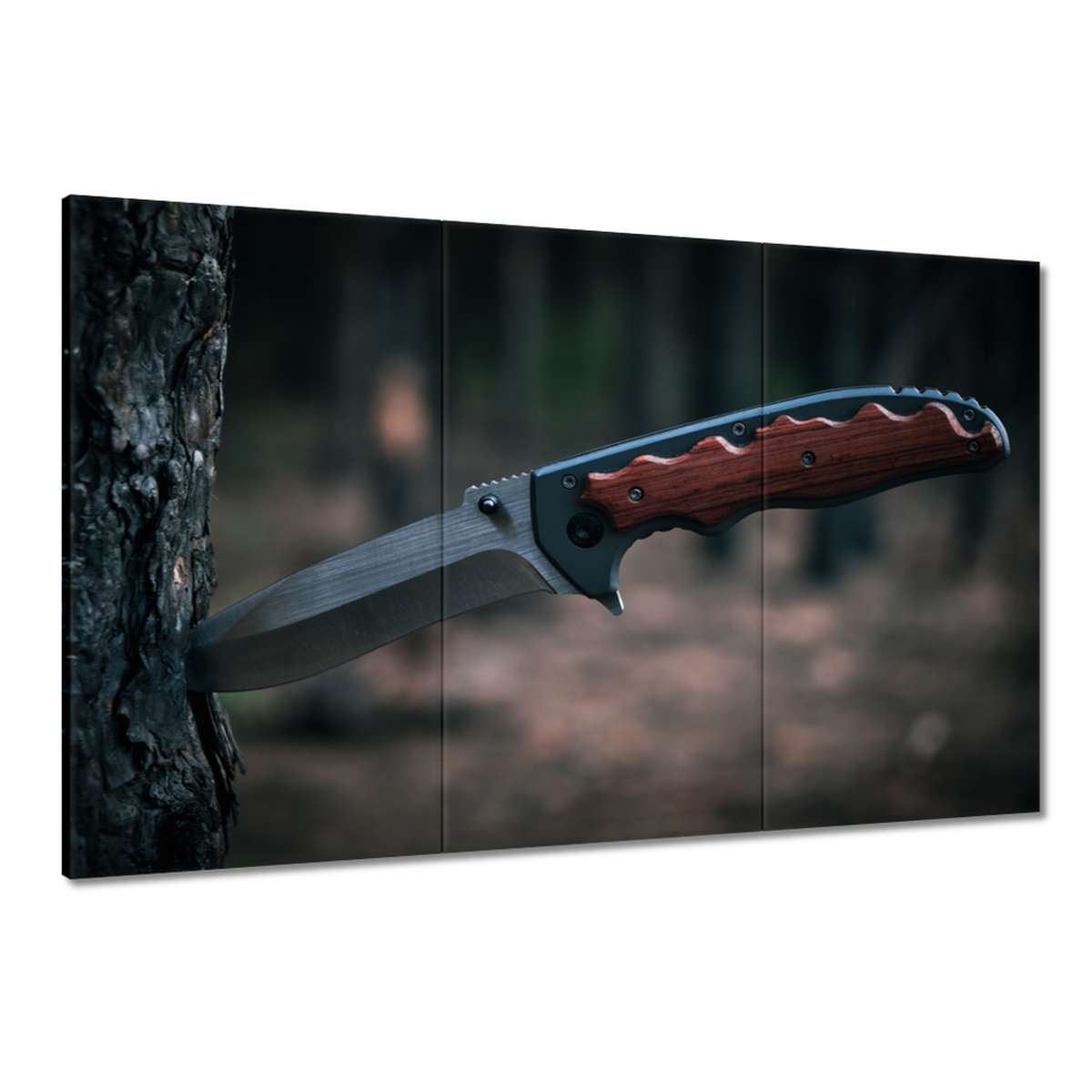 Obrazy 120x80 Nůž zapíchnutý do kůry stromu