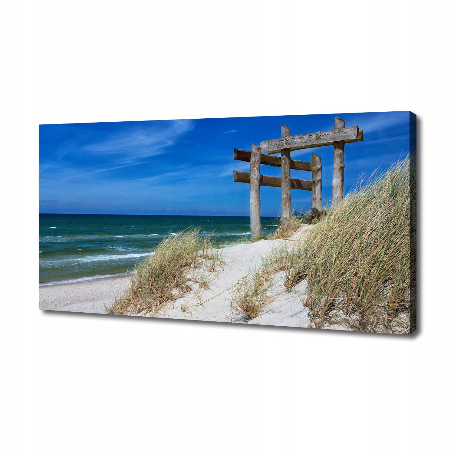 

Foto obraz na płótnie Nadmorskie wydmy 140x70 cm