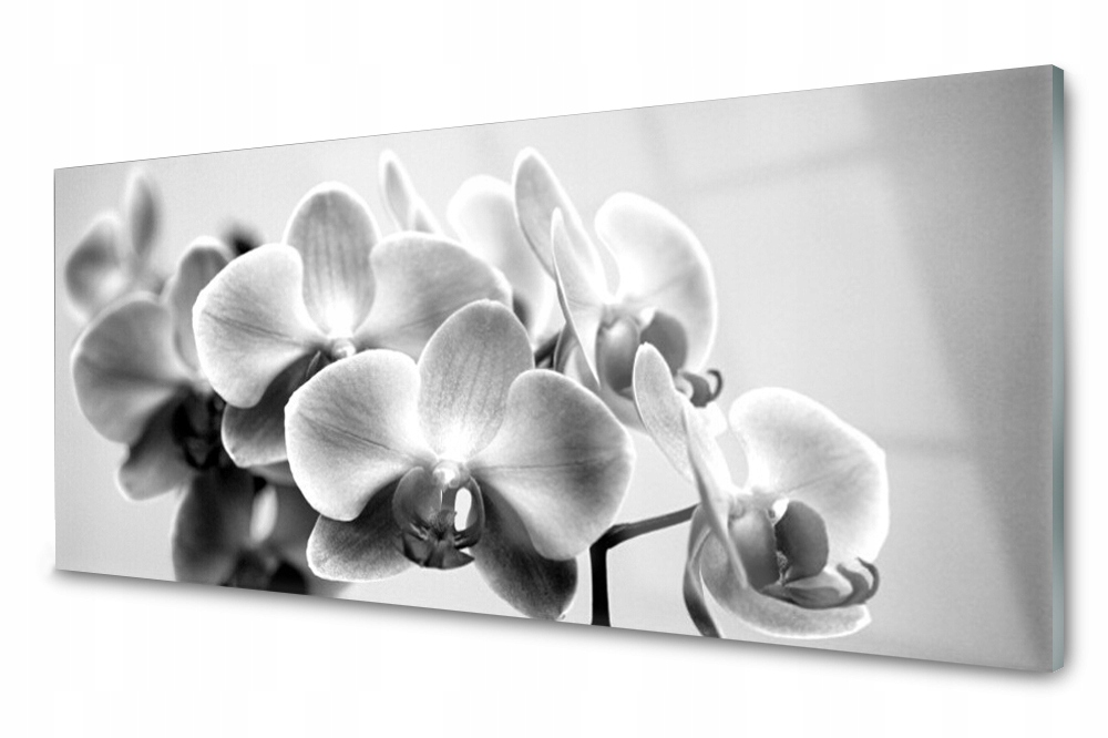 

Panel szklany do kuchni Kwiaty Roślina 125x50