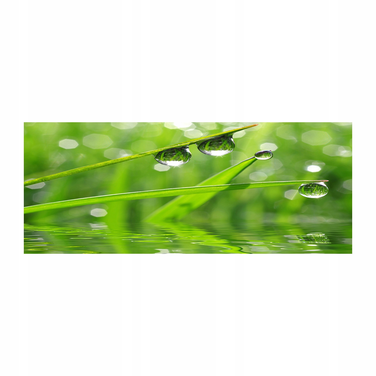 

Foto obraz szkło akryl Krople na trawie 125x50 cm