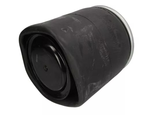 5002-03-0224P - Пневматическая подвеска MAN TGA, TGS, TGX