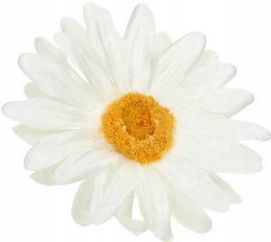 

Główka Margaretka średnica 7 cm Ecru
