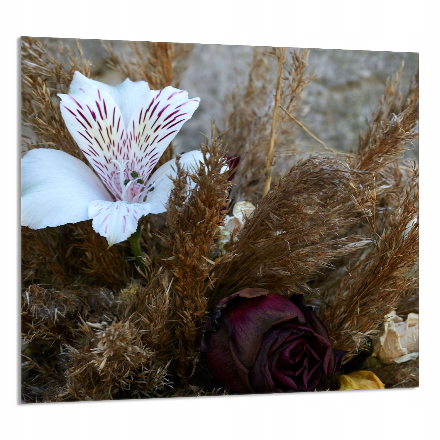 Skleněný Panel Do Kuchyně 65x60 Orchidej Tvrzené Sklo