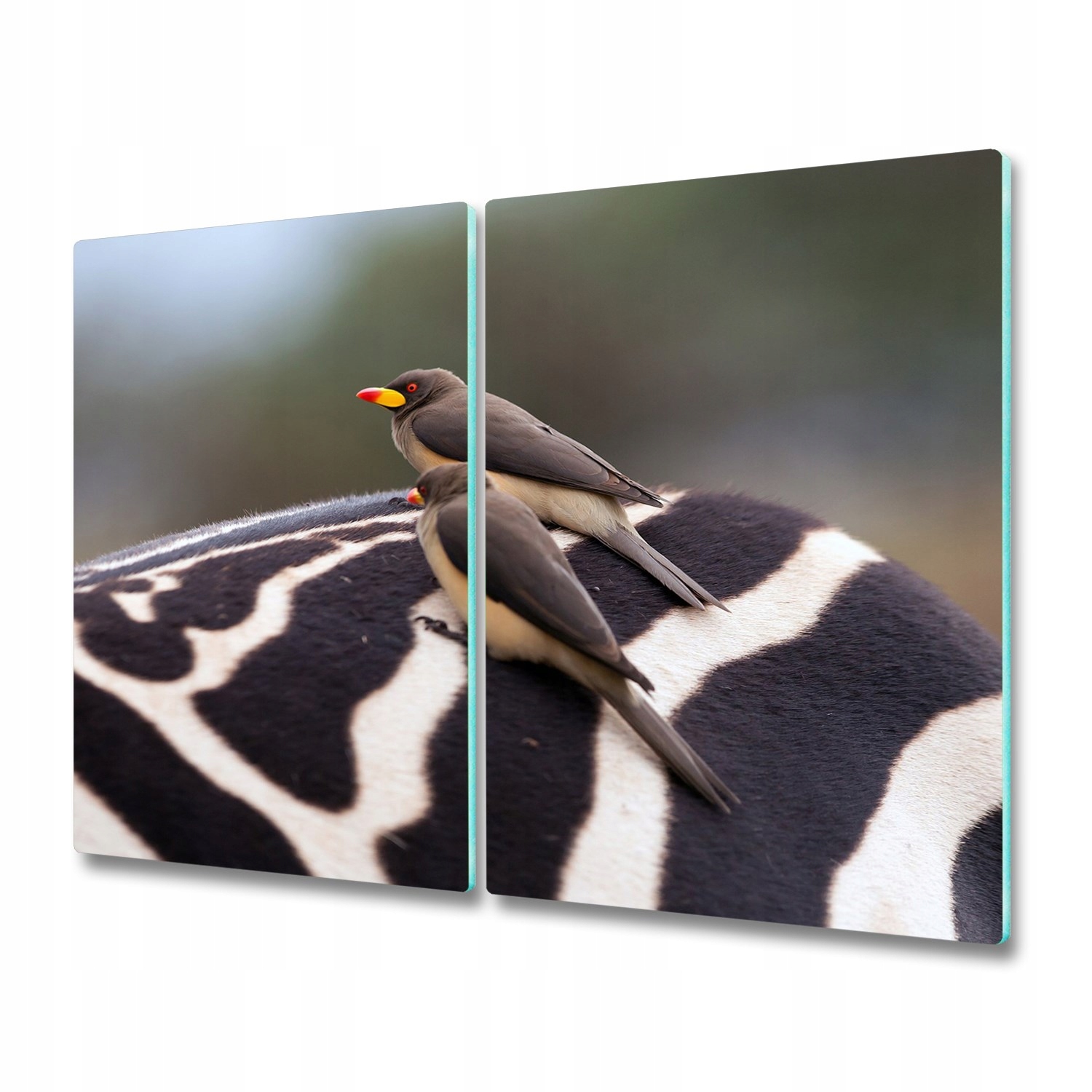

Deska do krojenia hartowana Ptak Zebra 2x30x52
