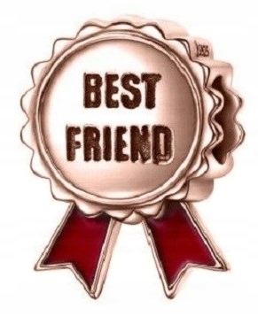 Charms Pozlacený Best Friends Přátelství Přítelkyně bff Sestra Stříbro 925
