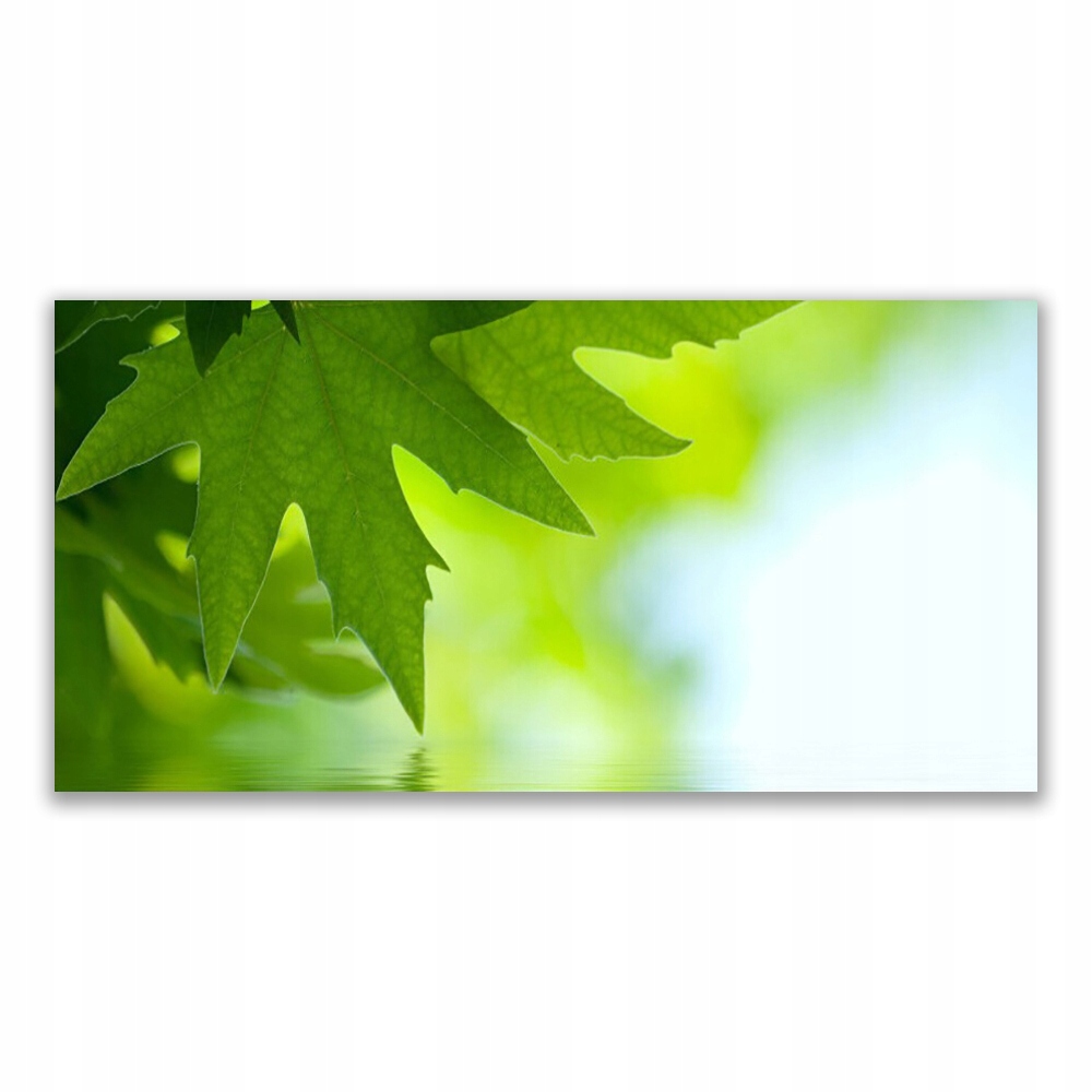 

Obraz akryl ścienny 120x60 Liście Natura Roślina