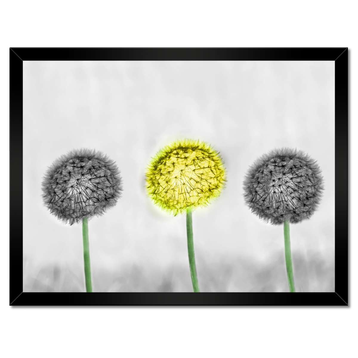 Plakáty v rámu 40x30 Žlutý pampeliška