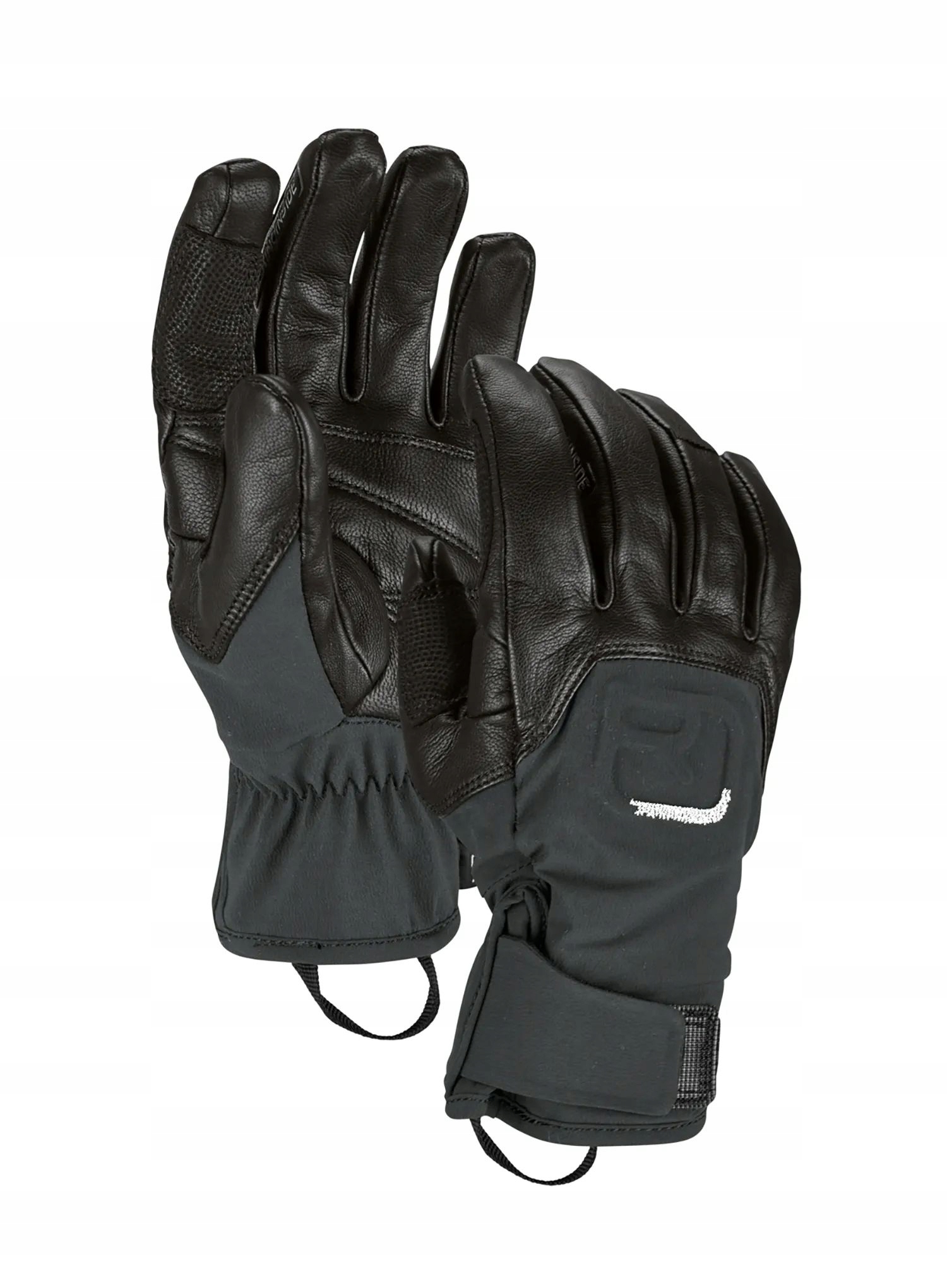 Rukavice do hor Ortovox Alpine Pro Glove černá barva XXL