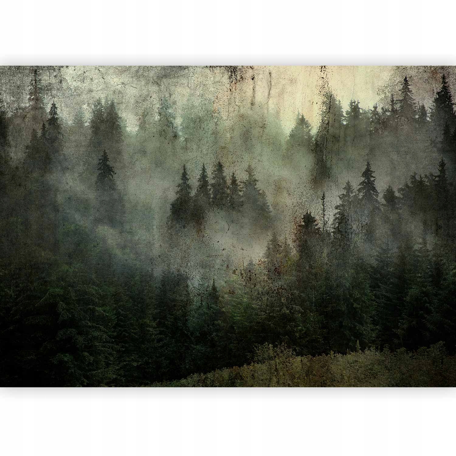 Fototapeta Premium Las Mgła Natura Salon Tapeta Ścienna Flizelina 450x315