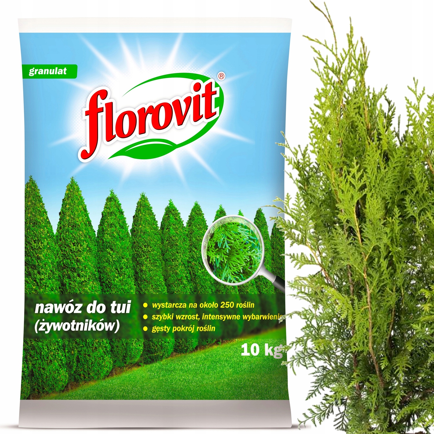 Florovit nawóz granulat żywotniki zagęszcza rośliny iglaste cisy tui 10kg