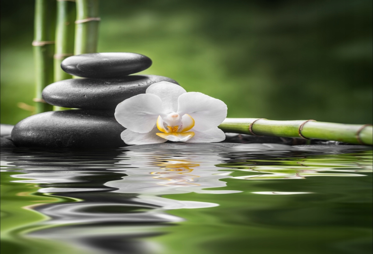 

Tapeta flizelinowa Orchidea i Zen - 104x70