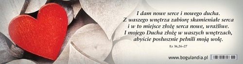 

Zakładka 20 do książki I dam nowe serce i nowego