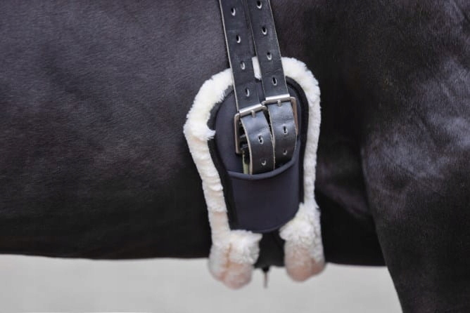 Popręg ujeżdżeniowy z futerkiem COVALLIERO Kod producenta 8653