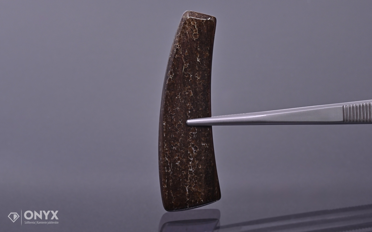 Dřevo fosilní konvexní nepravidelná dlažba 59x17 mm