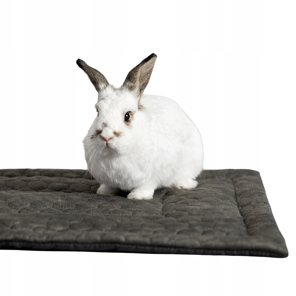 Levně Kraina Tuptusia podložka do klece pro králíka 37x69 Cm různé barvy a materiály