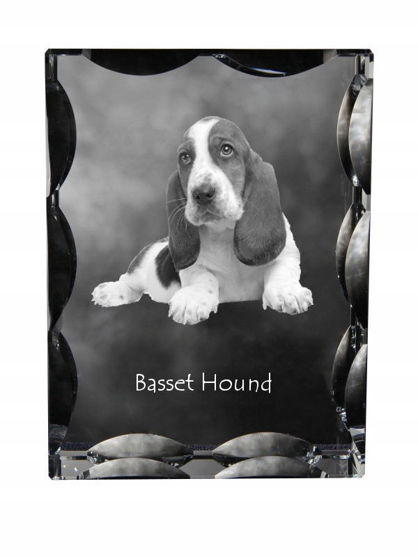 Basset Hound fotografia psa v ozdobnom kryštáli, suvenír, dekorácia domu