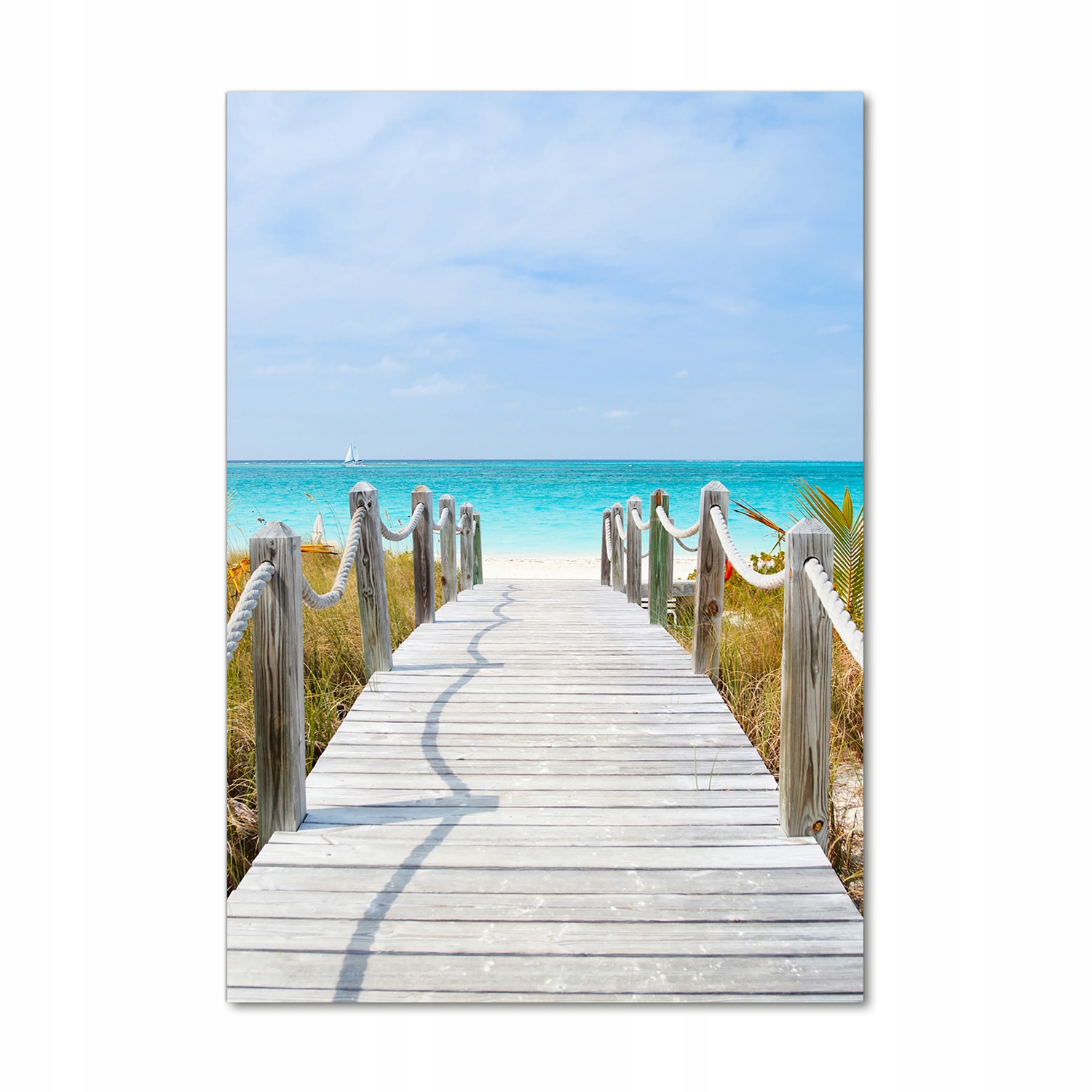 

Foto obraz szkło akrylowe Ścieżka na plażę 70x100