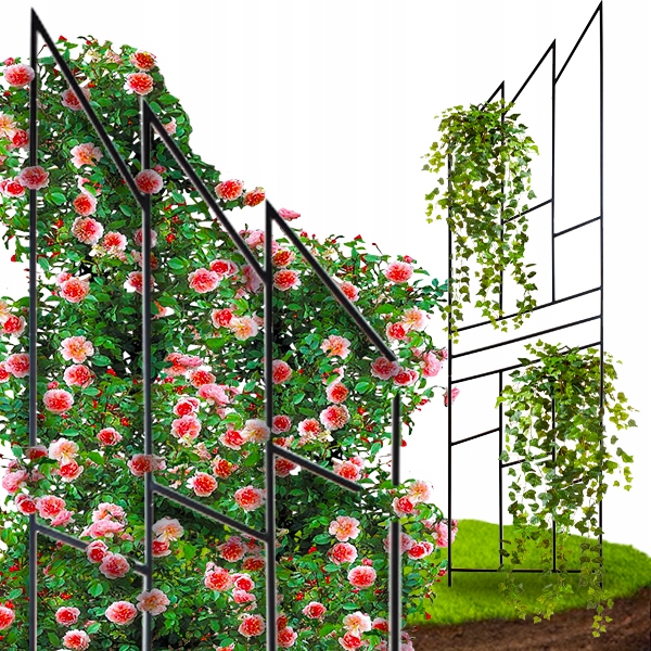 Pergola Zahradní Terasová Na Růže Podpěra Žebřík Vysoká 200 cm