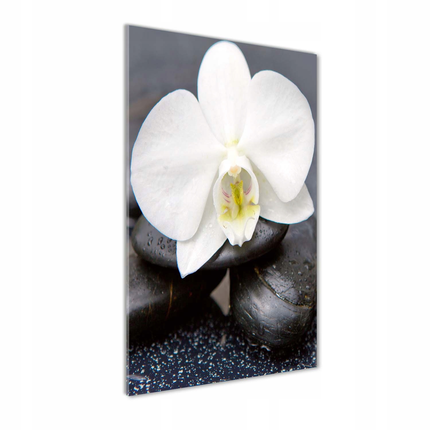 

Foto obraz na szkle Orchidea i kamienie 70x140 cm