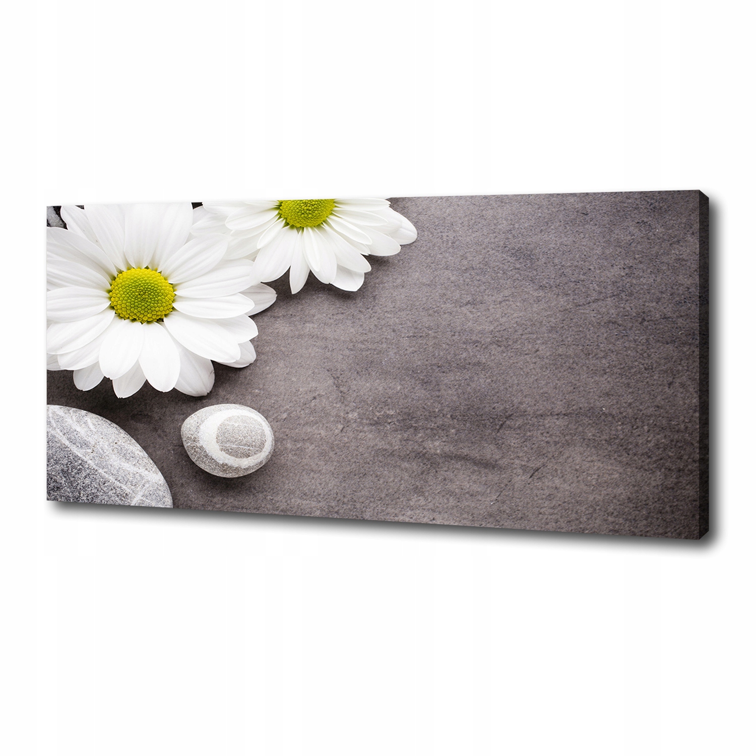 

Foto obraz canvas na ścianę Gerbera 125x50 cm