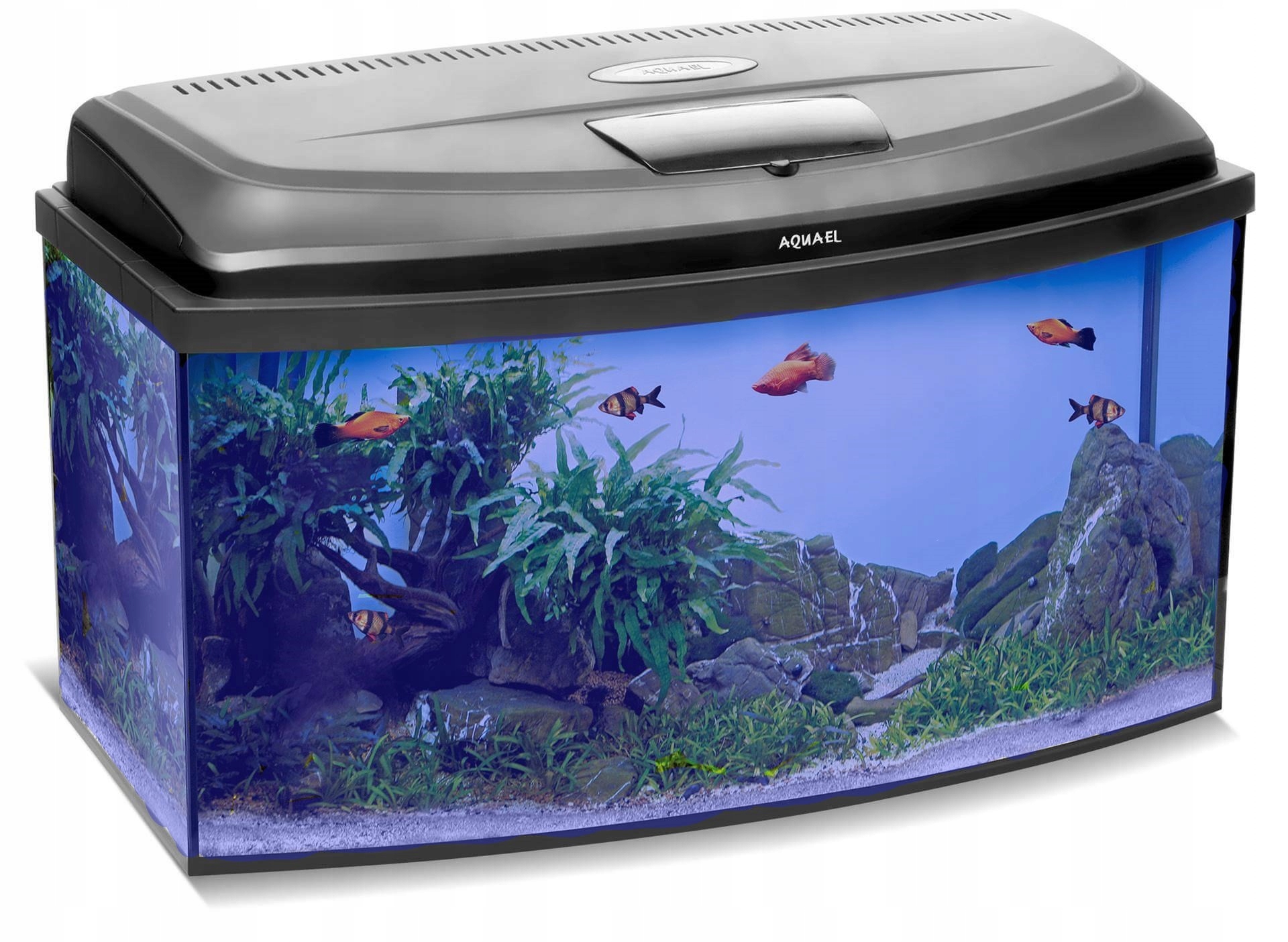 

Full Zestaw Akwarium Led 112 Profil Box Gratisy