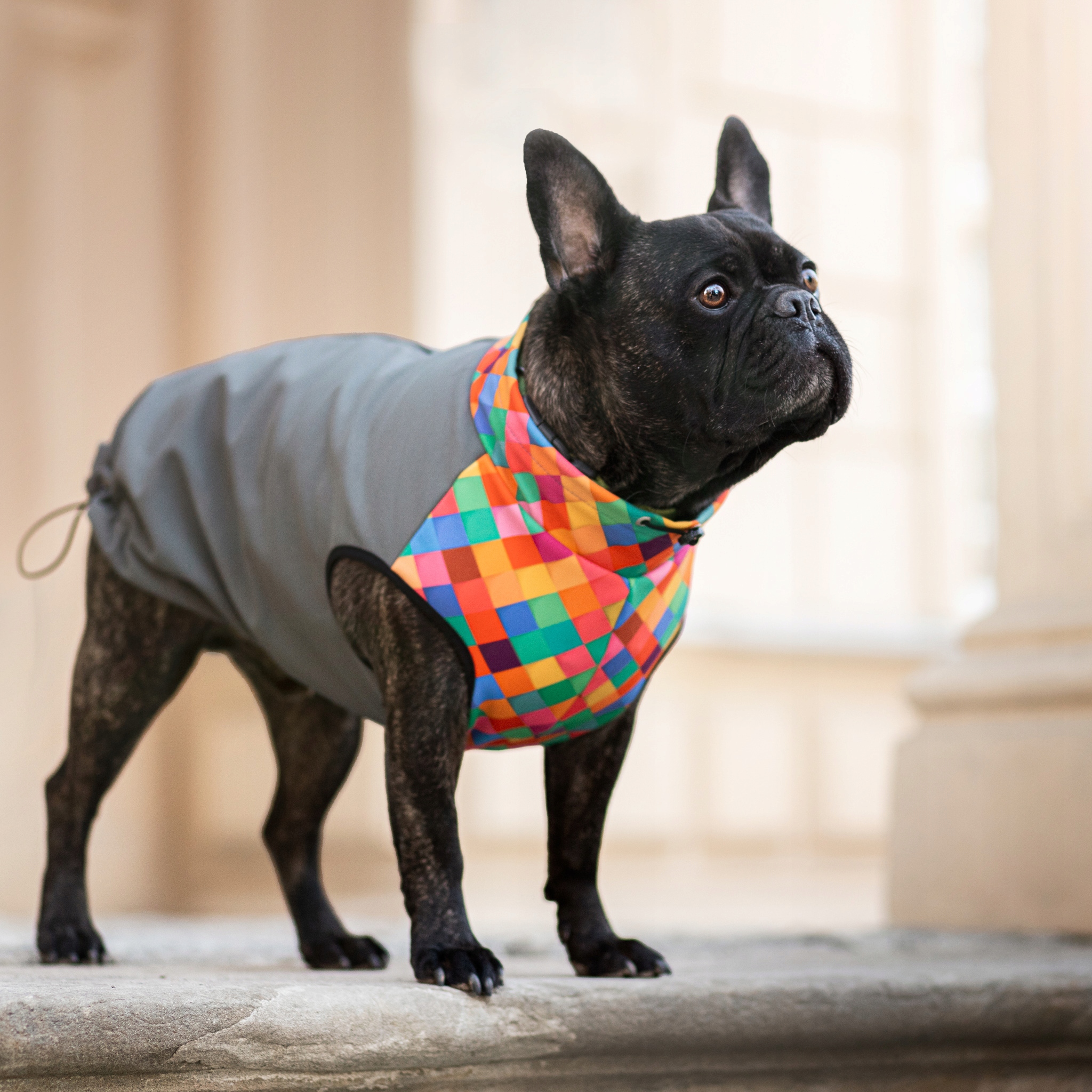 Levně Protidešťové oblečení pro psa S mřížka