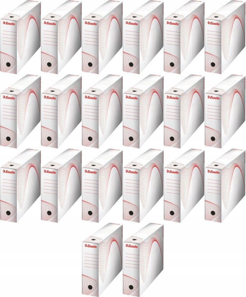 

Pudło archiwizacyjne karton Esselte z pokrywą x 20