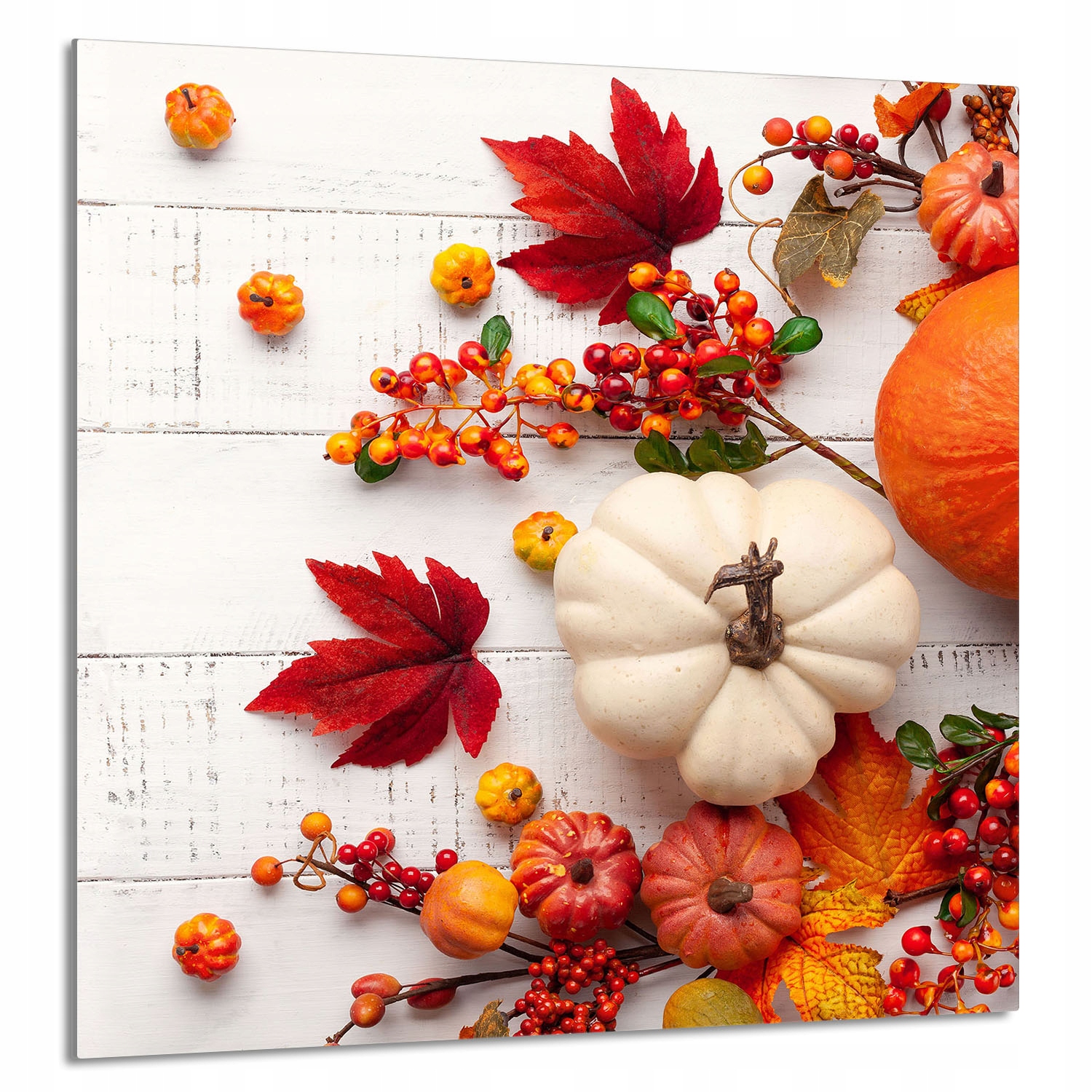 Skleněný Panel Do Kuchyně 60x65 Dýně Tvrzené Sklo