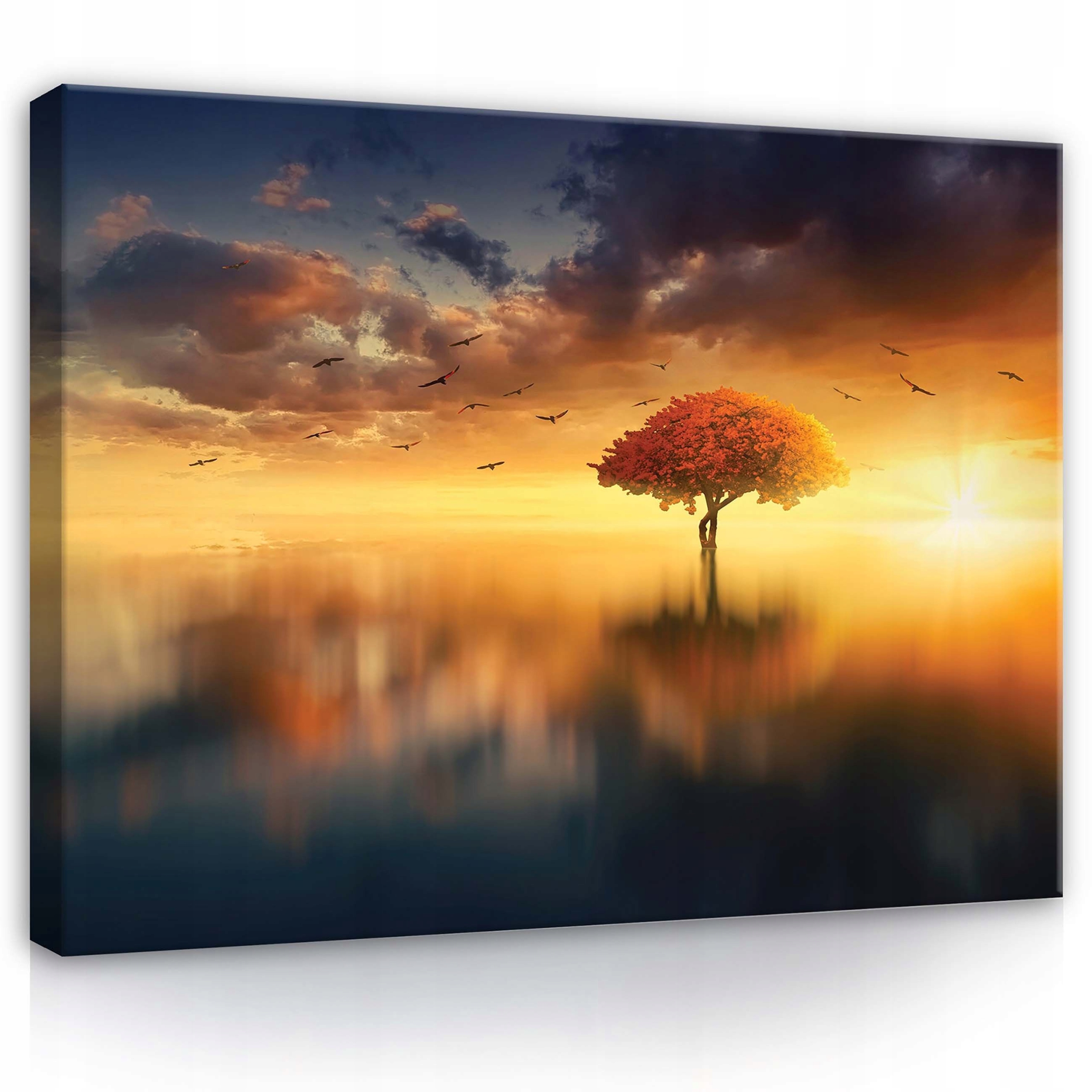 Obraz 100x75 Východ slunce západ slunce strom jezero voda obloha klid