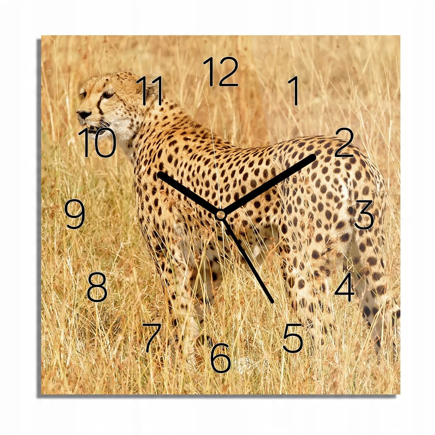 

Gepard trawa foto-zegar do pokoju 30x30 nowoczesny
