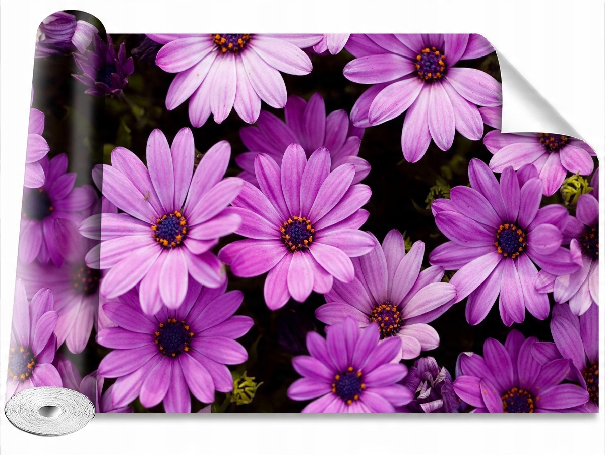 

Tapeta Samoprzylepna Fioletowe kwiaty 104x70