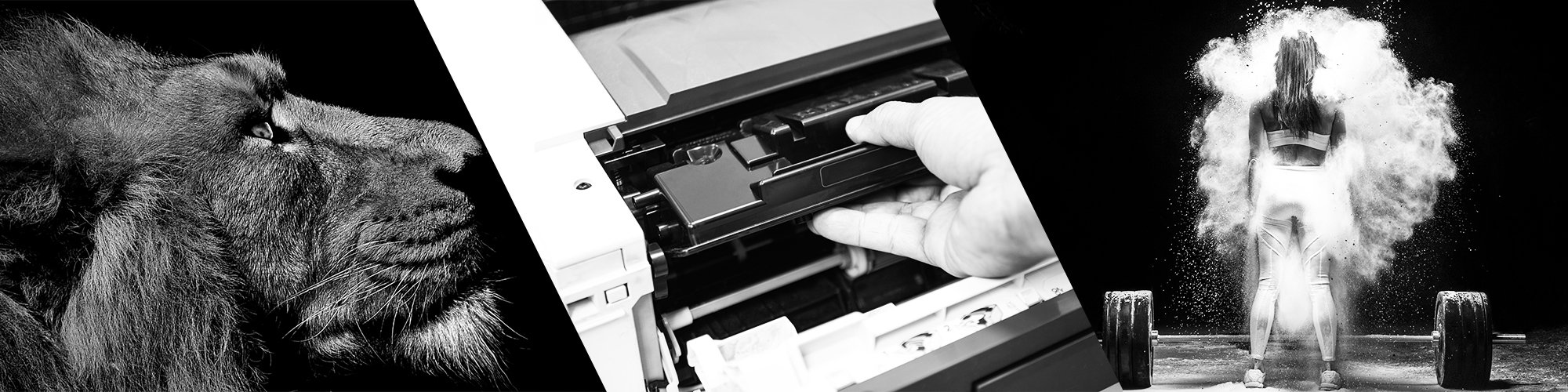 TONER MLT D101 S DO SAMSUNG ML2160 ML2165W SCX3400 ML-2160 SCX-3405W SF760 Producent Focus Office