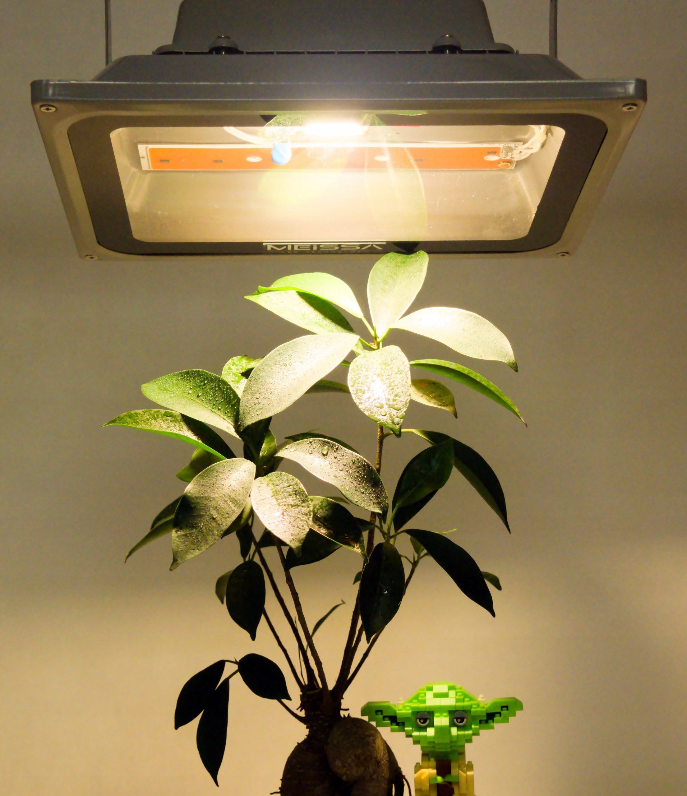 GROW COB MEiSSA LED panel rast rastlín 432D 500W Dĺžka 28 cm