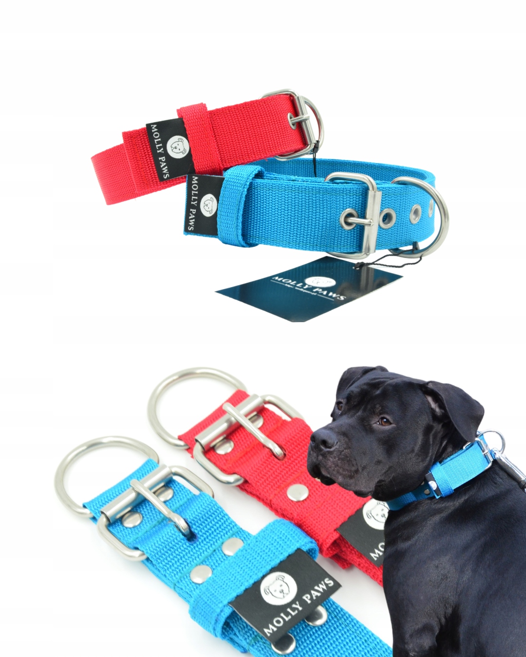 Levně Kennelový obojek pro psa Všechny barvy, velikost 48 cm – 56 cm, tolerance +/- 1 cm