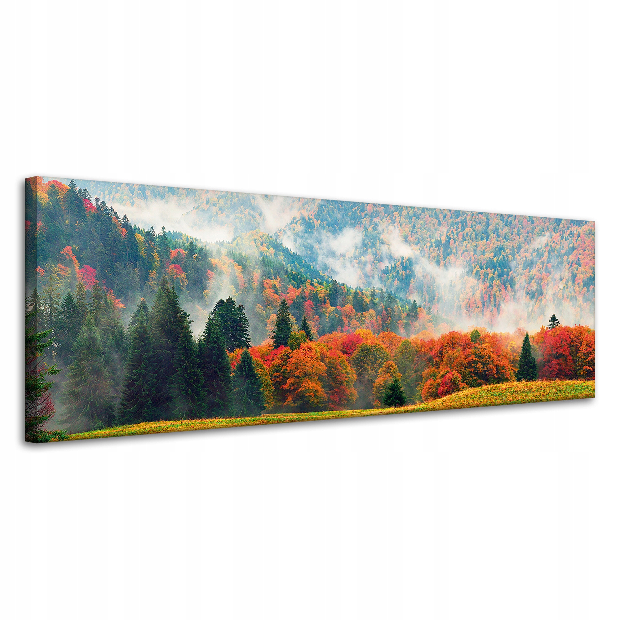 Obraz na plátně Hora Lesy Louky Mraky Příroda 120x40 cm