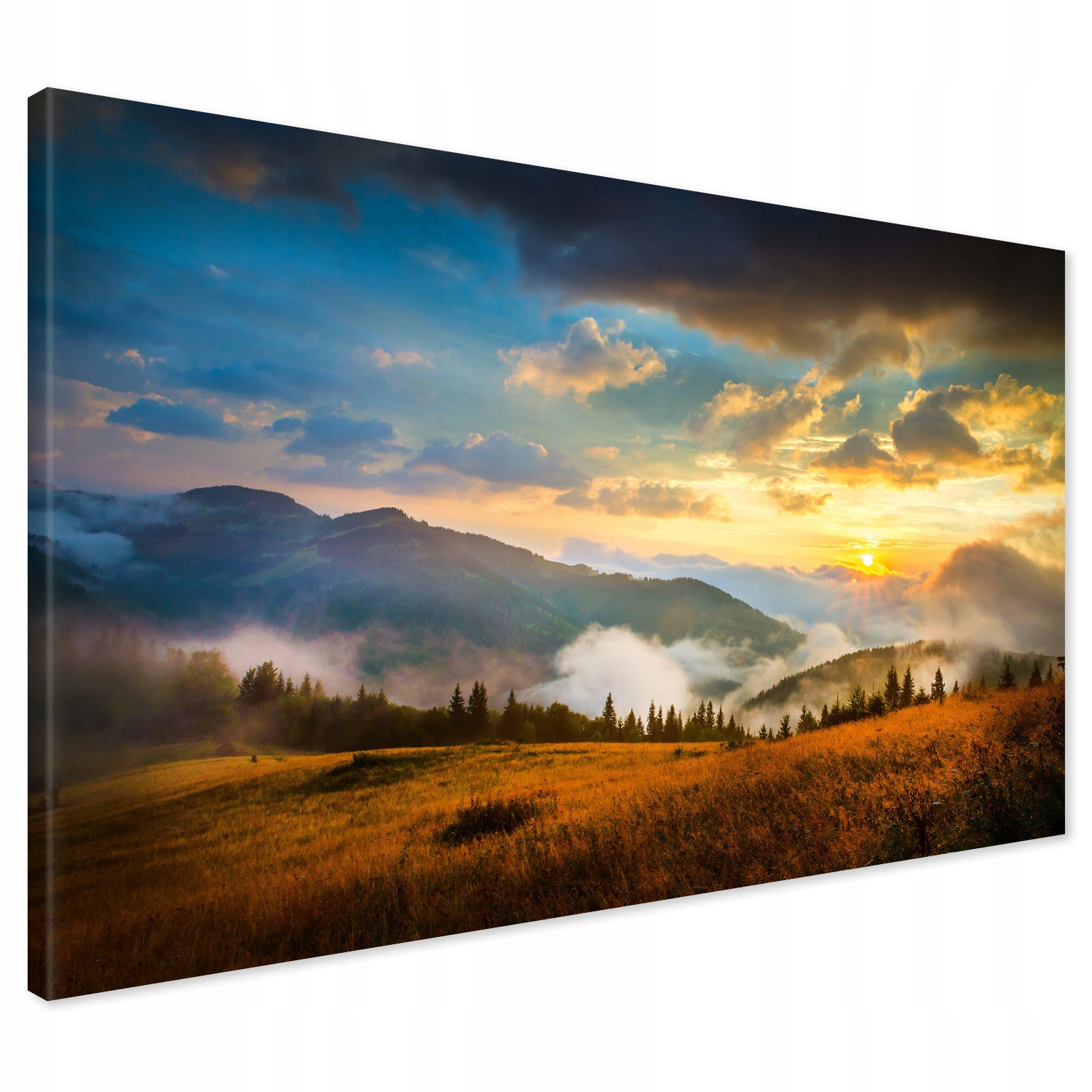 

Obraz na płótnie góry ukraina łąka 120x80
