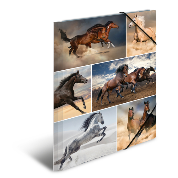 

Teczka tekturowa A3 z gumkami, Konie