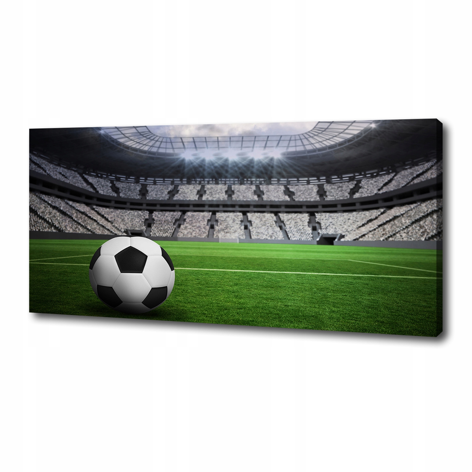 

Foto obraz na płótnie Piłka na stadionie 125x50 cm