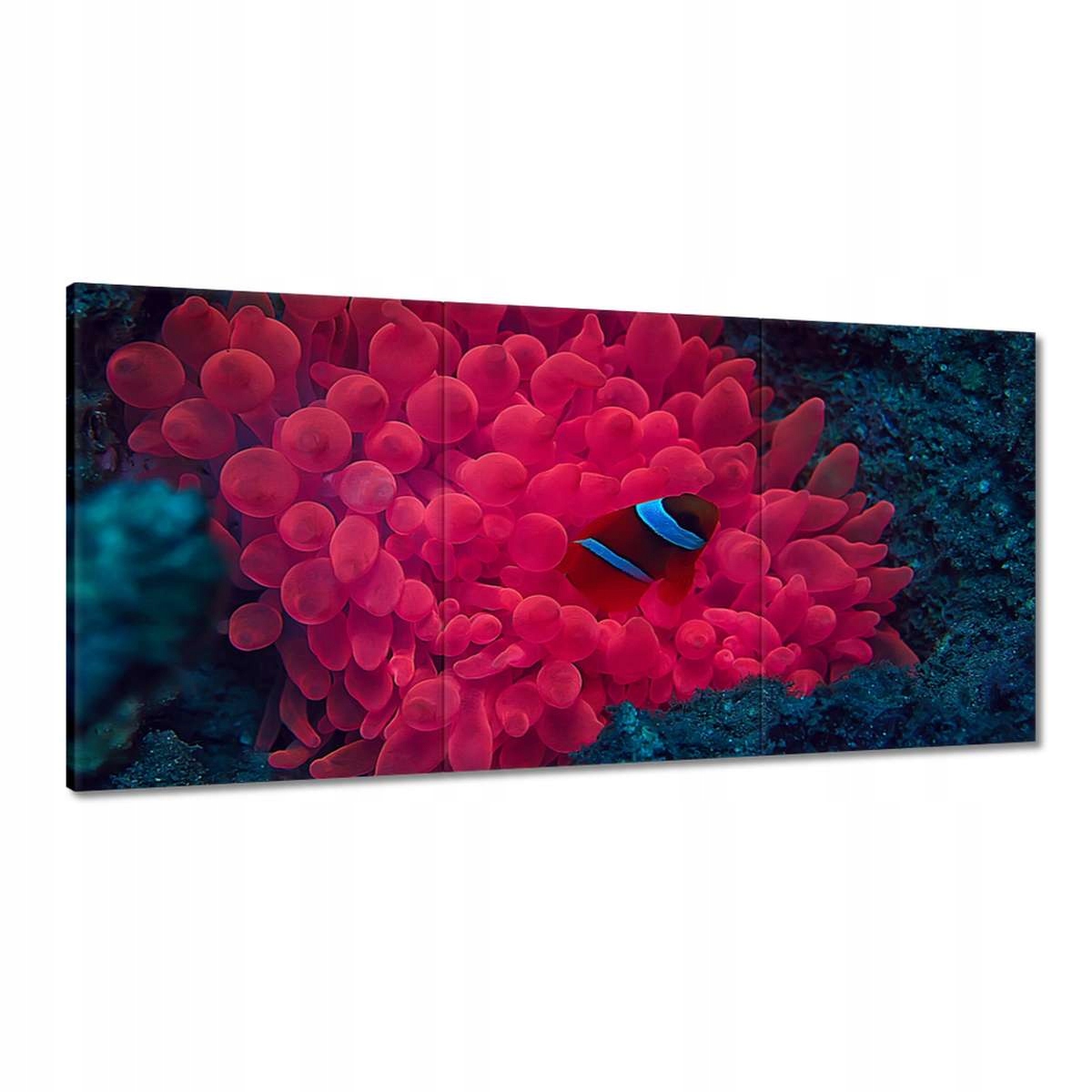 Obrazy 180x90 Divoká príroda v mori