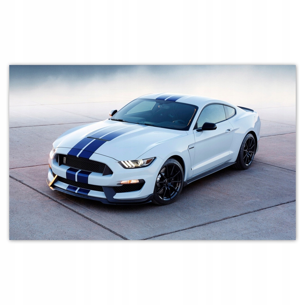 

Fototapety flizelina 520x318 Ford Mustang Shelby
