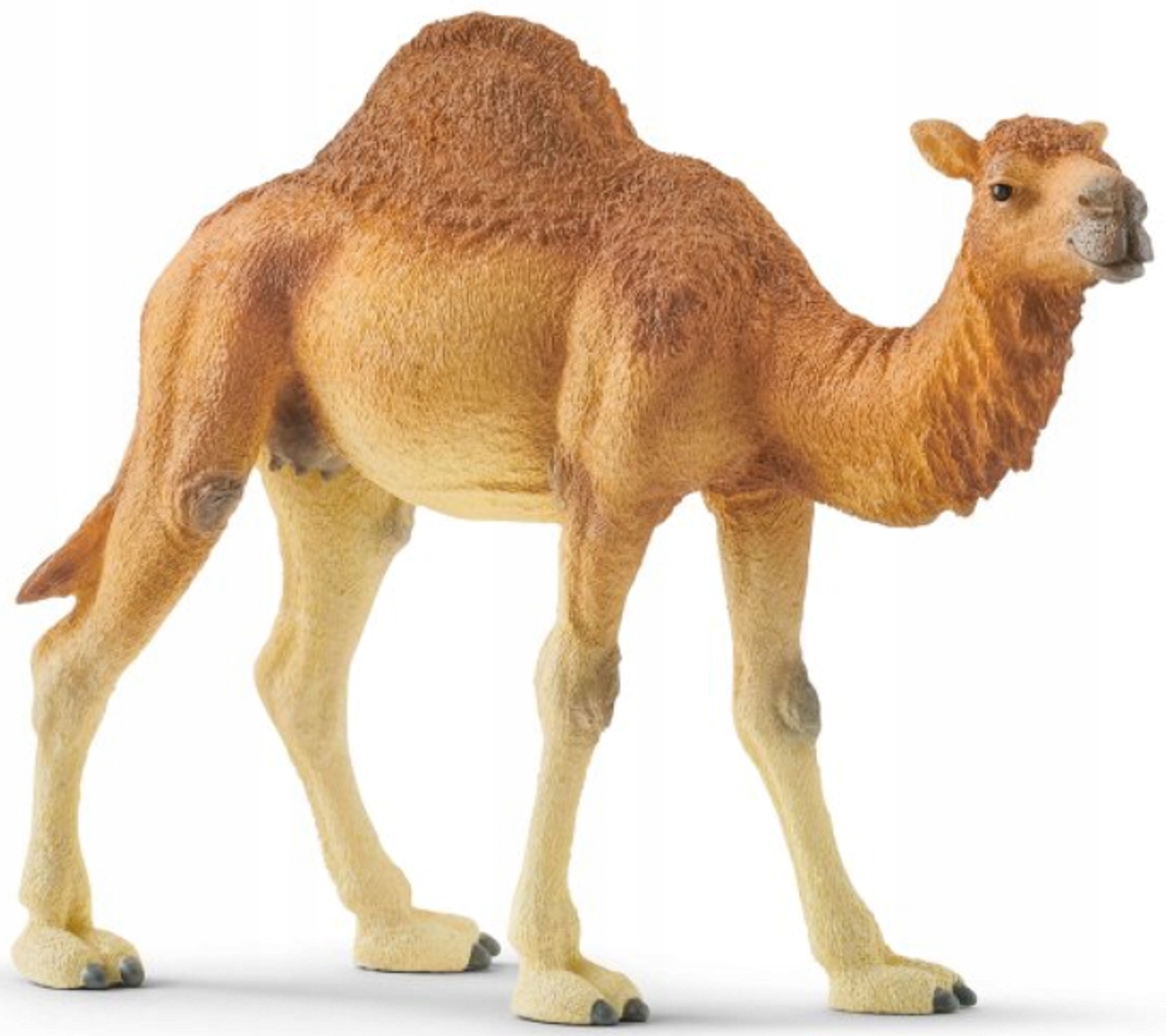 SCHLEICH 14832 WIELBŁĄD DROMADER FIGURKA WILD LIFE