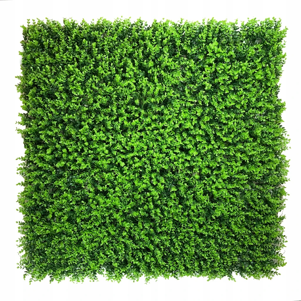 Zelená Eukalyptová Stena